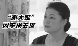 娱乐圈的瓜和我所吃的瓜,明星幕后故事与八卦风云