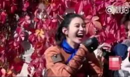 吃瓜娱乐圈奚梦瑶,娱乐圈的瓜田漫步