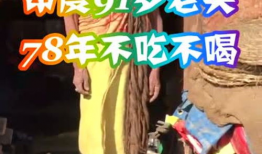 91岁老头直播,跨越世纪的智慧与生活分享