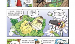 儿童漫画推荐,精选儿童漫画推荐，陪伴孩子快乐成长